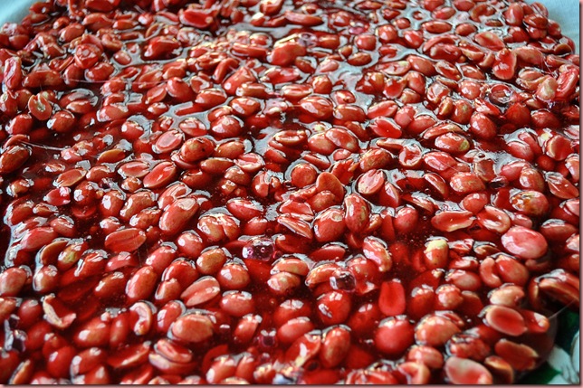 field of brittle