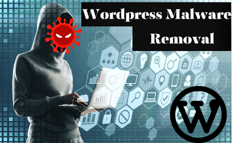 I will do professionally wordpress malware removal and wordpress pro security