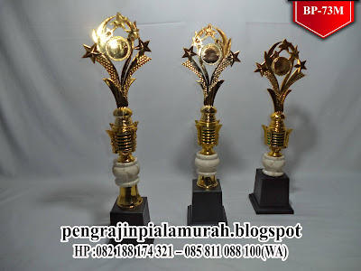 Pusat Grosir Piala Tulungagung, Harga Grosir Piala Murah