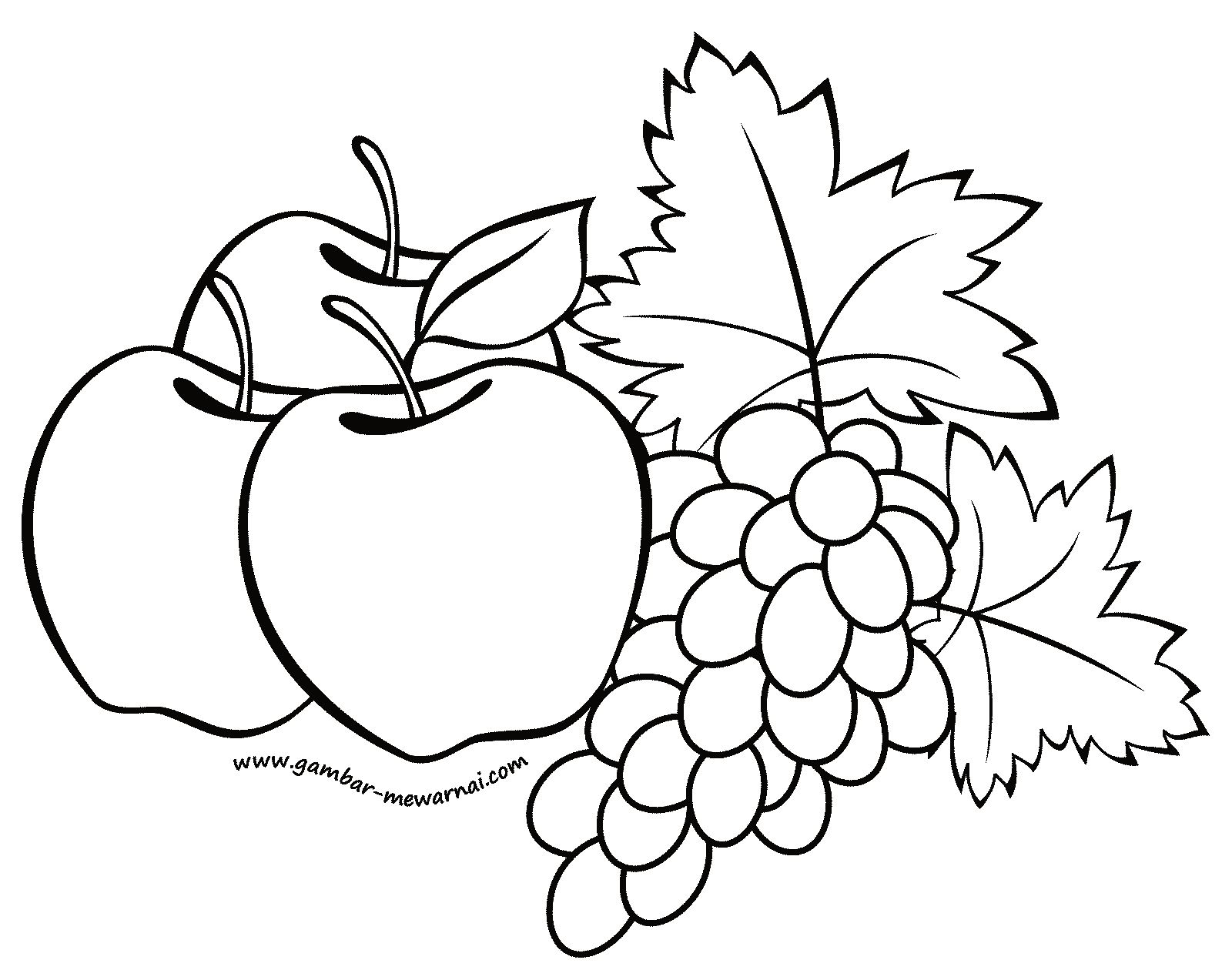 Lihat Gambar Mewarnai Buah Apel Contoh Download Anggur di 