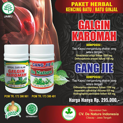 Obat Alami penghancur batu ginjal ampuh tanpa operasi