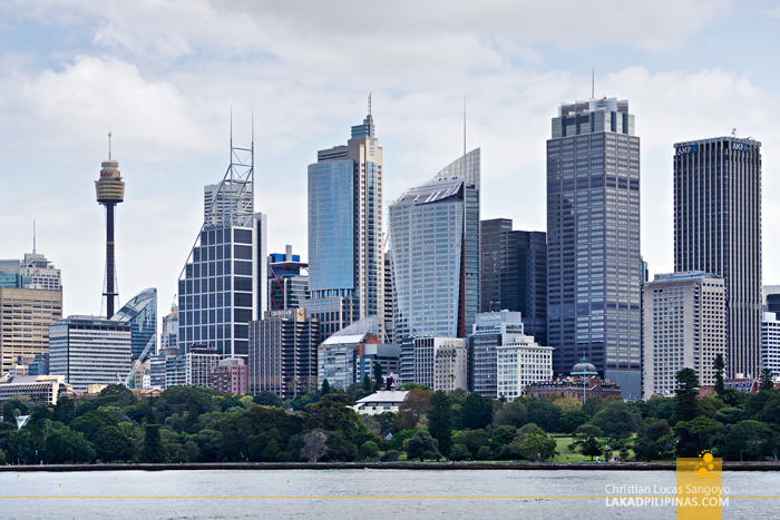 Sydney Harbour Cruise Skyline