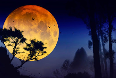Kebijakan Unik Bupati Purwakarta melarang untuk menyalakan lampu ketika bulan purnama