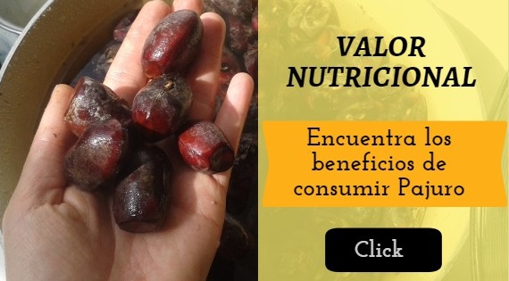 VALOR NUTRICIONAL