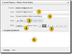 analytics-rapor