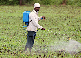 man spraying pesticides