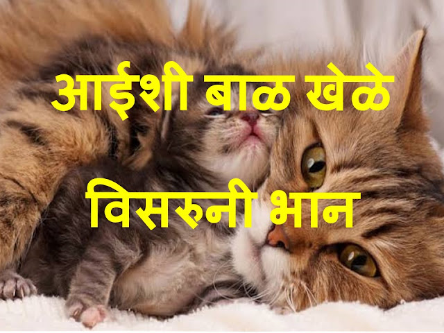 छान छान छान मनीमाऊचं बाळ (मराठी बालगीत) | Kitten Song - Marathi Baalgeet