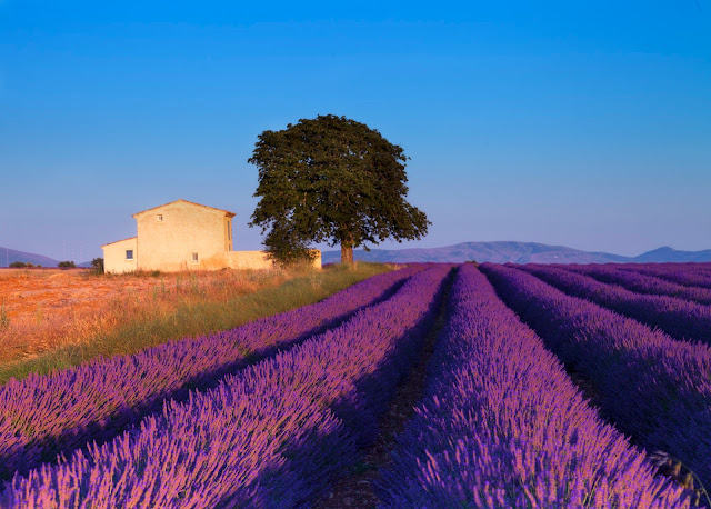 Provence vacation rentals