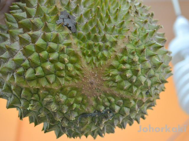 Mao-Shan-Wang-Durian