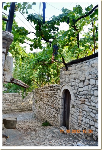 DSC_1766 (2) (678x1024)