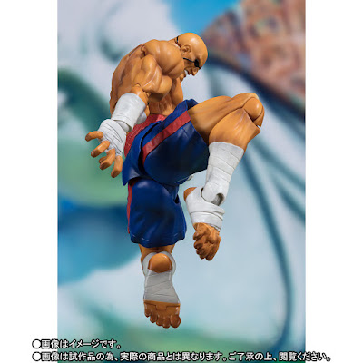 S.H.Figuarts SAGAT