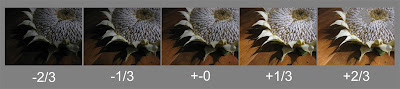 photo bracketing example, thirds, exposure