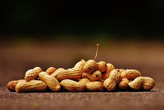 Kacang Tanah Kegunaan, Khasiat, Efek Samping