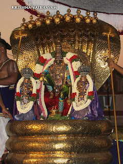 Thiruvallikeni,Triplicane,  Sri Parthasarathy Perumal, Venkata Krishna , 2017, Video, Divya Prabhandam,Utsavam,Sesha Vahanam