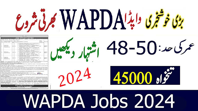 WAPDA Director General Post Lahore 2024