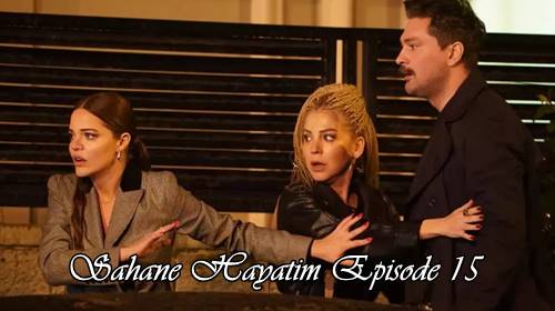 episode 14 sahane hayatim