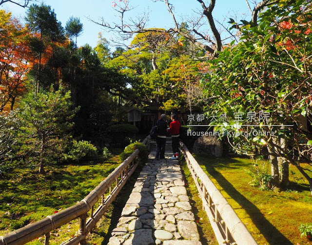 京都 宝泉院の紅葉
