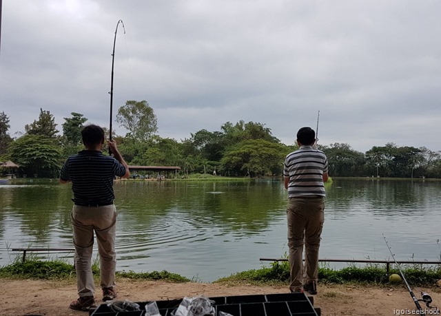 catching the giant Mekong Catfish at Bo Sang Fishing Park, under the guidance of a fishing expert.