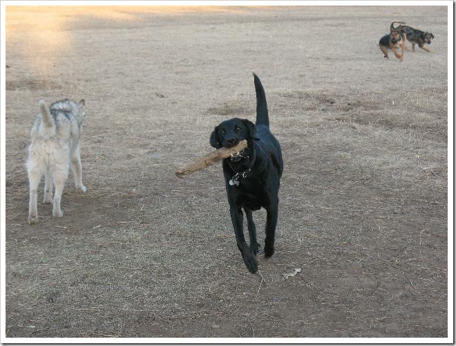three