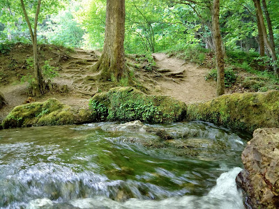 Paisagem com o rio e árvores