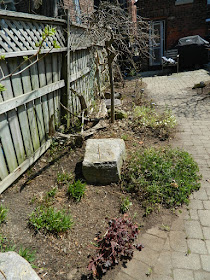 Paul Jung Gardening Services a Toronto Gardening Company Parkdale Spring Garden Cleanup After