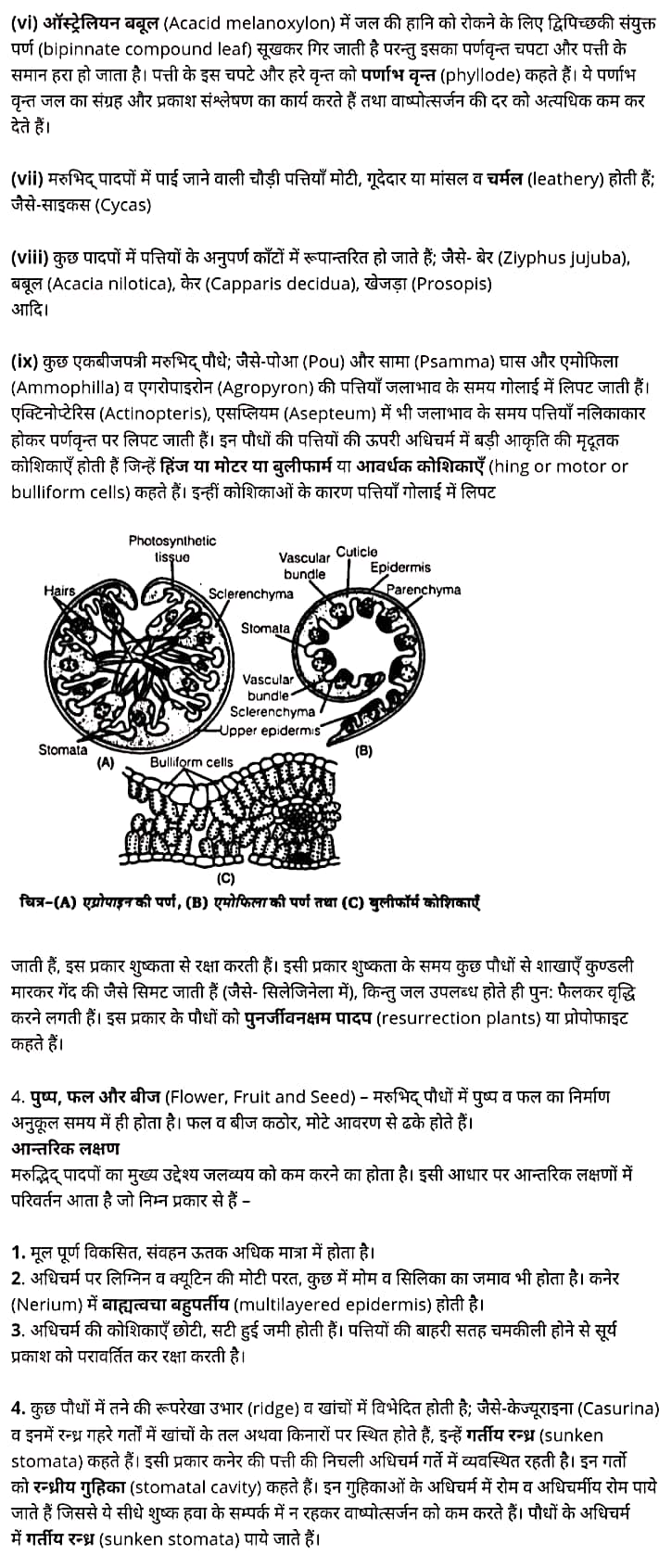 class 12   Biology   Chapter 13,  class 12   Biology   Chapter 13 ncert solutions in hindi,  class 12   Biology   Chapter 13 notes in hindi,  class 12   Biology   Chapter 13 question answer,  class 12   Biology   Chapter 13 notes,  12   class Biology   Chapter 13 in hindi,  class 12   Biology   Chapter 13 in hindi,  class 12   Biology   Chapter 13 important questions in hindi,  class 12   Biology    notes in hindi,   class 12   Biology   Chapter 13 test,  class 12   Biology   Chapter 13 pdf,  class 12   Biology   Chapter 13 notes pdf,  class 12   Biology   Chapter 13 exercise solutions,  class 12   Biology   Chapter 13, class 12   Biology   Chapter 13 notes study rankers,  class 12   Biology   Chapter 13 notes,  class 12   Biology   notes,   Biology    class 12   notes pdf,  Biology   class 12   notes 2021 ncert,  Biology   class 12   pdf,  Biology    book,  Biology   quiz class 12  ,   12  th Biology    book up board,  up board 12  th Biology   notes,   कक्षा 12 जीव विज्ञान  अध्याय 13, कक्षा 12 जीव विज्ञान  का अध्याय 13 ncert solution in hindi, कक्षा 12 जीव विज्ञान  के अध्याय 13 के नोट्स हिंदी में, कक्षा 12 का जीव विज्ञान  अध्याय 13 का प्रश्न उत्तर, कक्षा 12 जीव विज्ञान  अध्याय 13 के नोट्स, 12 कक्षा जीव विज्ञान  अध्याय 13 हिंदी में,कक्षा 12   जीव विज्ञान  अध्याय 13 हिंदी में, कक्षा 12 जीव विज्ञान  अध्याय 13 महत्वपूर्ण प्रश्न हिंदी में,कक्षा 12 के जीव विज्ञान  के नोट्स हिंदी में,जीव विज्ञान  कक्षा 12   नोट्स pdf,   जीव विज्ञान  कक्षा 12   नोट्स 2021 ncert,  जीव विज्ञान  कक्षा 12   pdf,  जीव विज्ञान  पुस्तक,  जीव विज्ञान  की बुक,  जीव विज्ञान  प्रश्नोत्तरी class 12  , 12   वीं जीव विज्ञान  पुस्तक up board,  बिहार बोर्ड 12  पुस्तक वीं जीव विज्ञान  नोट्स,     12th Biology    book in hindi, 12  th Biology    notes in hindi, cbse books for class 12  , cbse books in hindi, cbse ncert books, class 12   Biology   notes in hindi,  class 12   hindi ncert solutions, Biology   2020, Biology   2021, Biology   2022, Biology   book class 12  , Biology    book in hindi, Biology   class 12   in hindi, Biology   notes for class 12   up board in hindi, ncert all books, ncert app in hindi, ncert book solution, ncert books class 10, ncert books class 12  , ncert books for class 7, ncert books for upsc in hindi, ncert books in hindi class 10, ncert books in hindi for class 12 Biology  , ncert books in hindi for class 6, ncert books in hindi pdf, ncert class 12 hindi book, ncert english book, ncert Biology    book in hindi, ncert Biology    books in hindi pdf, ncert Biology  class 12 ,   ncert in hindi,  old ncert books in hindi, online ncert books in hindi,  up board 12  th, up board 12  th syllabus, up board class 10 hindi book, up board class 12   books, up board class 12   new syllabus, up board intermediate Biology    syllabus, up board intermediate syllabus 2021, Up board Master 2021, up board model paper 2021, up board model paper all subject, up board new syllabus of class 12  th Biology  ,   12 वीं जीव विज्ञान   पुस्तक हिंदी में, 12  वीं भौतिक विज्ञान  नोट्स हिंदी में, कक्षा 12   के लिए सीबीएससी पुस्तकें, कक्षा 12   जीव विज्ञान  नोट्स हिंदी में, कक्षा 12   हिंदी एनसीईआरटी समाधान,  जीव विज्ञान  बुक इन हिंदी, भौतिक विज्ञान  क्लास 12   हिंदी में,  एनसीईआरटी भौतिक विज्ञान  की किताब हिंदी में,  बोर्ड 12 वीं तक, 12 वीं तक की पाठ्यक्रम, बोर्ड कक्षा 10 की हिंदी पुस्तक , बोर्ड की कक्षा 12   की किताबें, बोर्ड की कक्षा 12 की नई पाठ्यक्रम, बोर्ड जीव विज्ञान  2020, यूपी   बोर्ड जीव विज्ञान  2021, यूपी  बोर्ड जीव विज्ञान  2022, यूपी  बोर्ड भौतिक विज्ञान  2023, यूपी  बोर्ड इंटरमीडिएट भौतिक विज्ञान  सिलेबस, यूपी  बोर्ड इंटरमीडिएट सिलेबस 2021, यूपी  बोर्ड मास्टर 2021, यूपी  बोर्ड मॉडल पेपर 2021, यूपी  मॉडल पेपर सभी विषय, यूपी  बोर्ड न्यू क्लास का सिलेबस  12   वीं भौतिक विज्ञान, अप बोर्ड पेपर 2021, यूपी बोर्ड सिलेबस 2021, यूपी बोर्ड सिलेबस 2022,