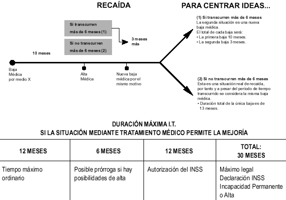 LA INSPECCIÓN MÉDICA