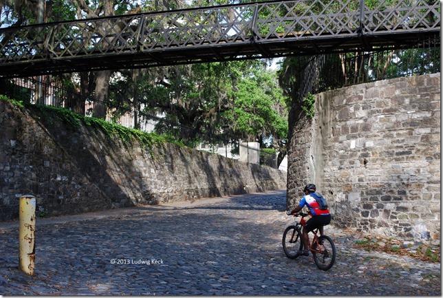 Cyclist
