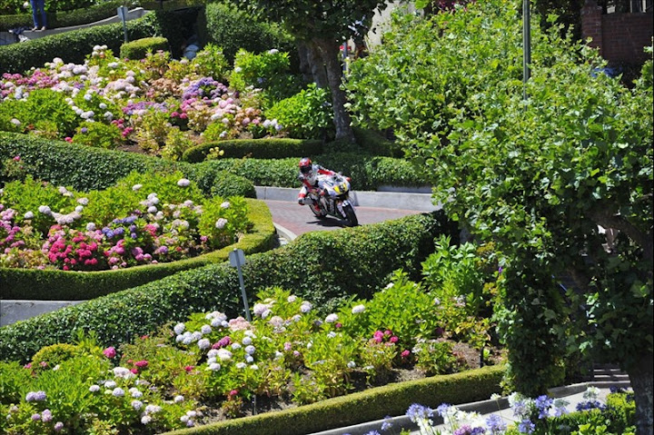 Stefan Bradl San Francisco's infamous Lombard Street and Treasure Island