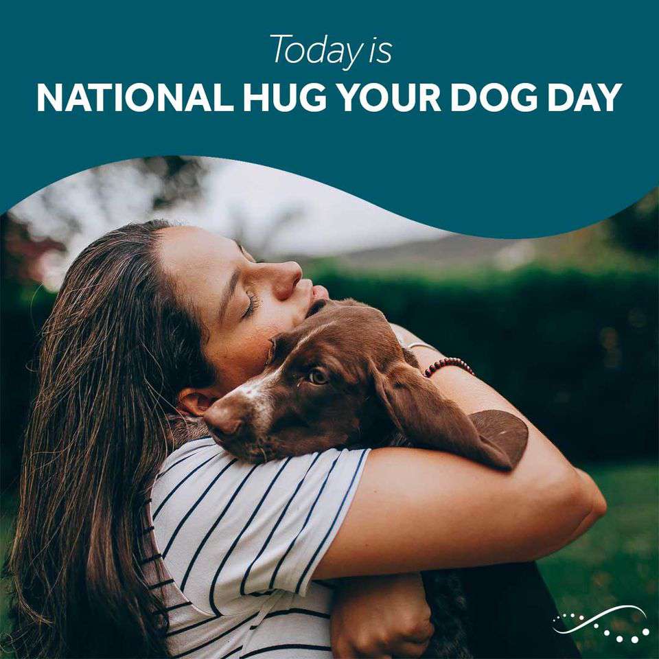 National Hug Your Dog Day Wishes for Whatsapp