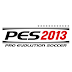 PES 2013 SERIAL NUMBERS