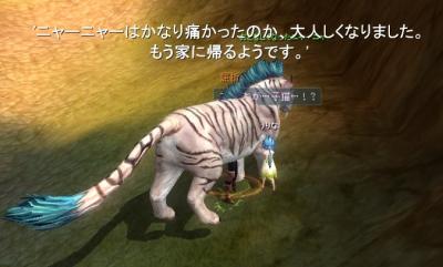 ニャーニャー