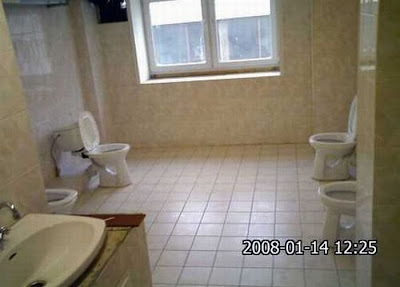 unusual toilets