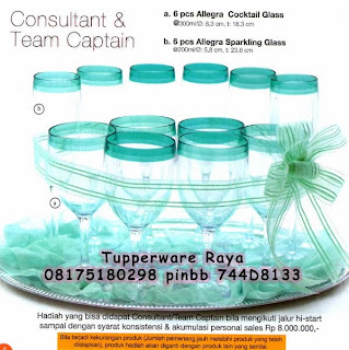 Katalog Tupperware Activity Januari 2014