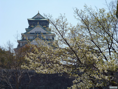 桜と大阪城