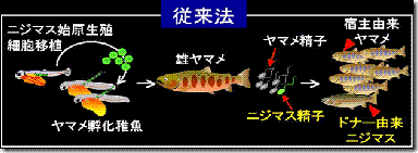 Metabo108日記 10月 07