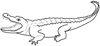 animal coloring pages, zoo coloring pages 