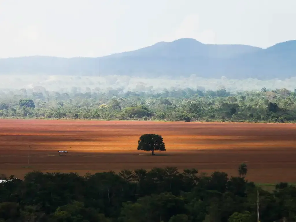 Alto Paraíso de Goiás (GO) - Área de cerrado desmatada para plantio no município de Alto Paraíso (Marcelo Camargo/Agência Brasil)