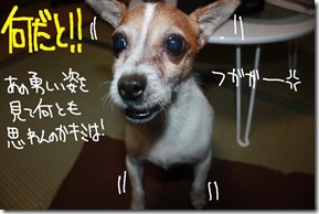 今日カズ１００２２６　１０