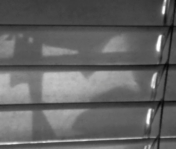 batman shadow