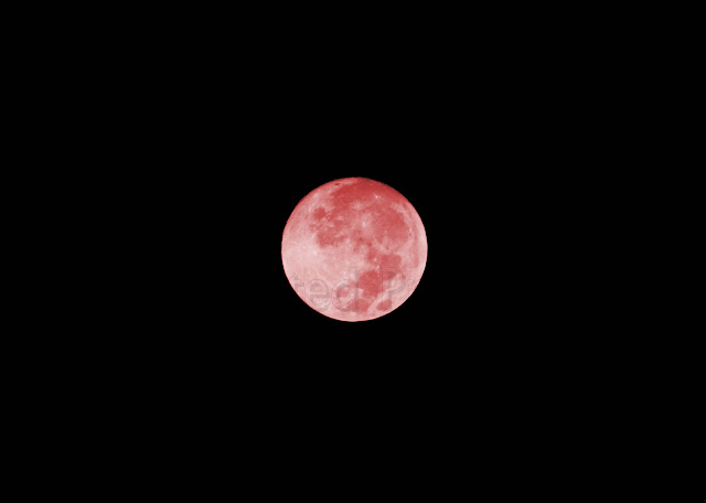 Blood Moon