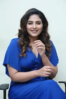Anjali at Game Changer press meet in a stunning look