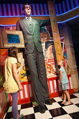 Tallest Man