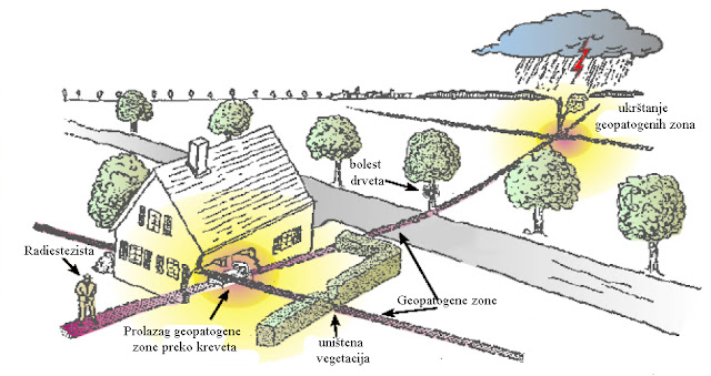 Uticaj geopatogenog štetnog zračenja na okolinu