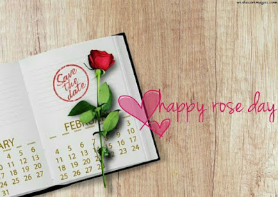 Wallpapers of Happy Rose Day