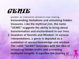 ▷ meaning of the name GENIE