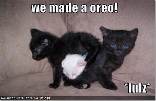 128345604262500000wemadeaoreo