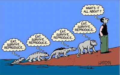 evolution funny pictures