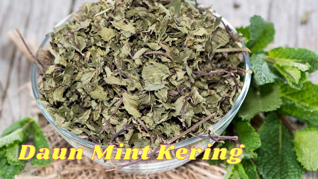 #11 Daun Mint Kering