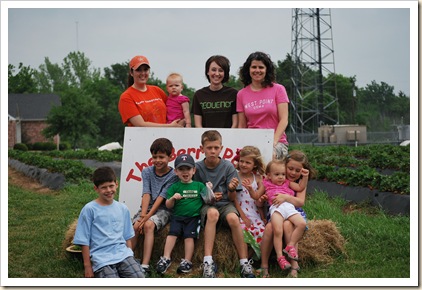 strawberry pickin'